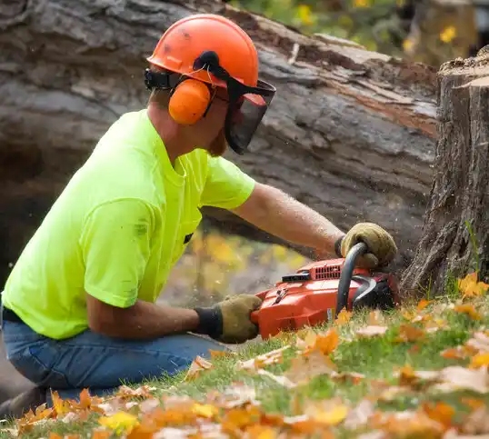 tree services Ten Mile Run